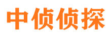 市中市私家侦探